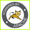 Apache Tomcat Server on Windows Server 2022 logo