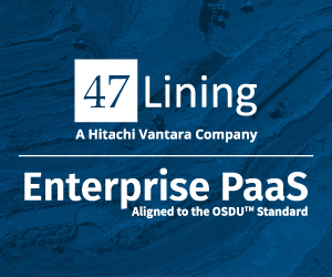 47Lining Enterprise PaaS - Adoption Catalyst
