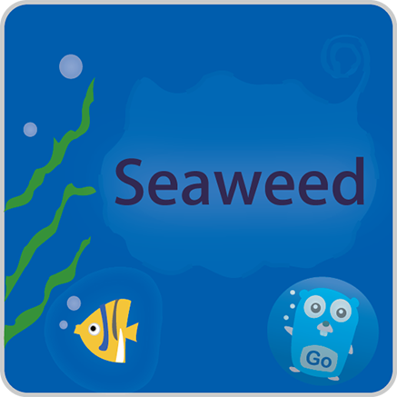 SeaweedFS S3