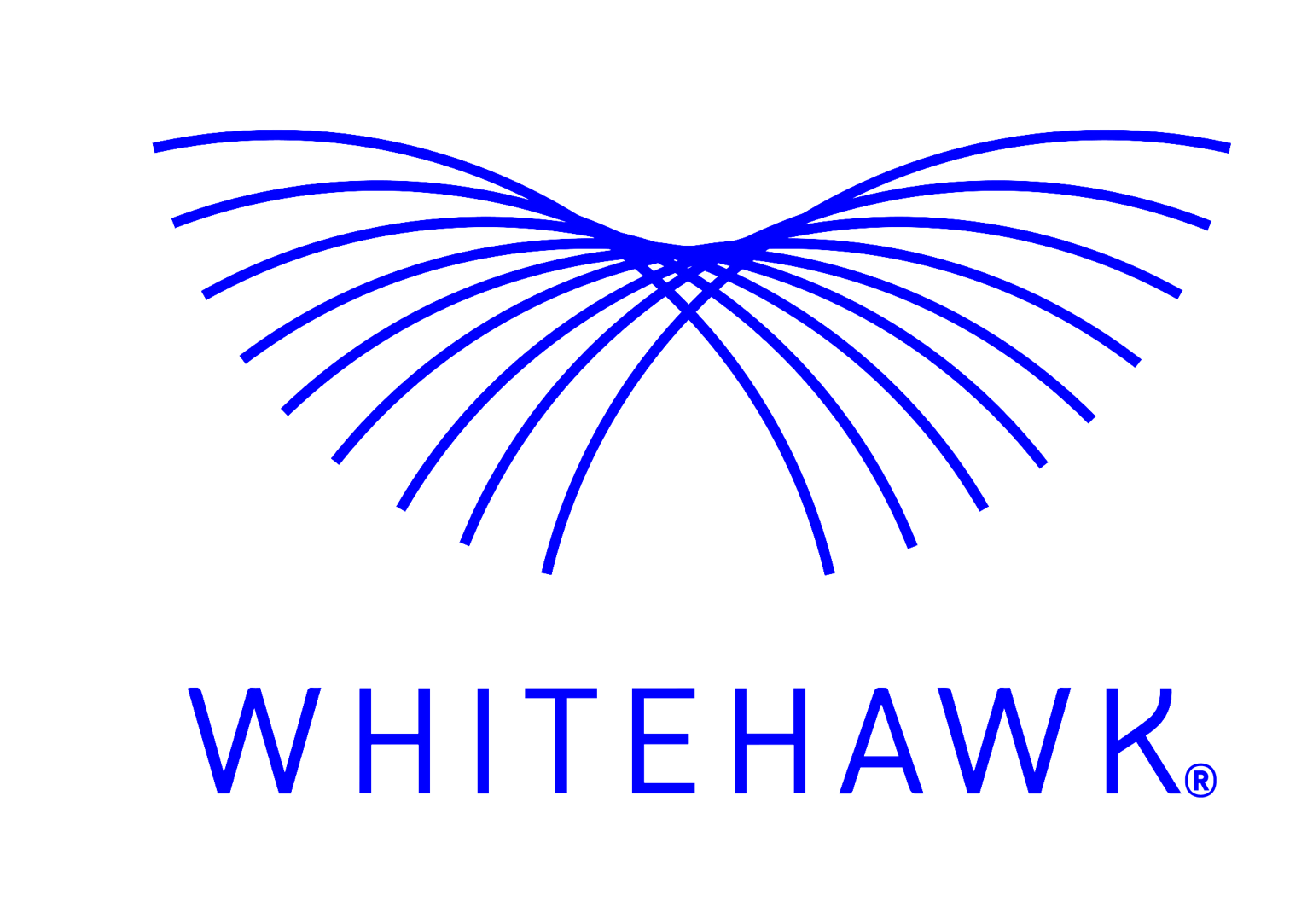 Cyber Risk Scorecard