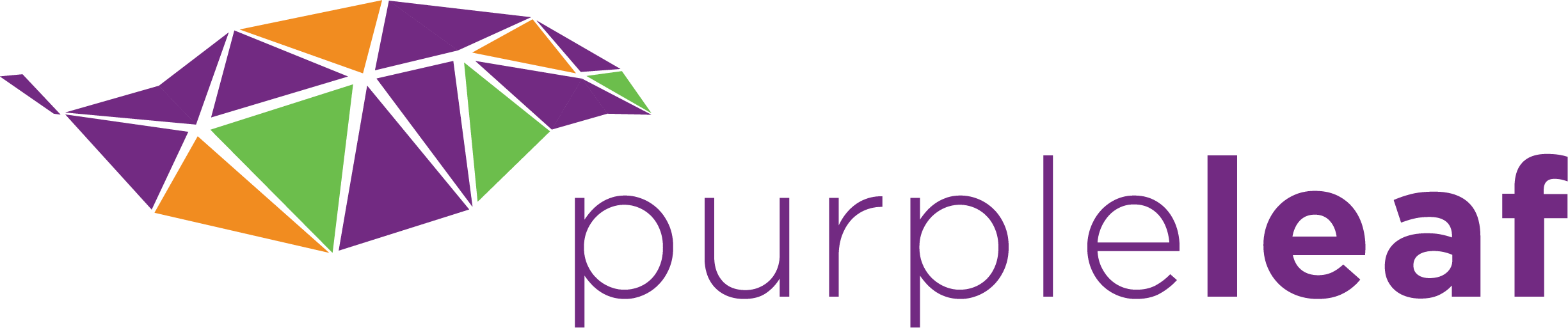 PurpleLeaf - Penetration Testing as a Service (PTaaS)