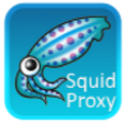 Proxy Server - Squid Proxy Cache with Webmin on Ubuntu 22.04